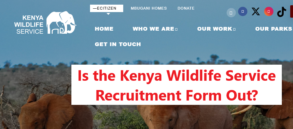 Is KWS Recruitment Form Out? | KWS Recruitment Form Portal | How to Apply