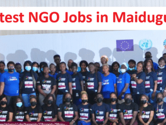Latest NGO Jobs in Maiduguri