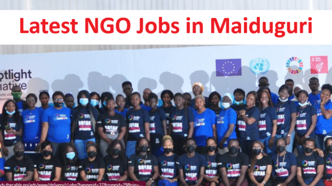 Latest NGO Jobs in Maiduguri