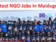 Latest NGO Jobs in Maiduguri
