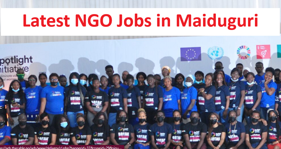 Latest NGO Jobs in Maiduguri