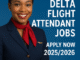 Delta Flight Attendant Jobs