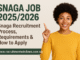 Snaga Job